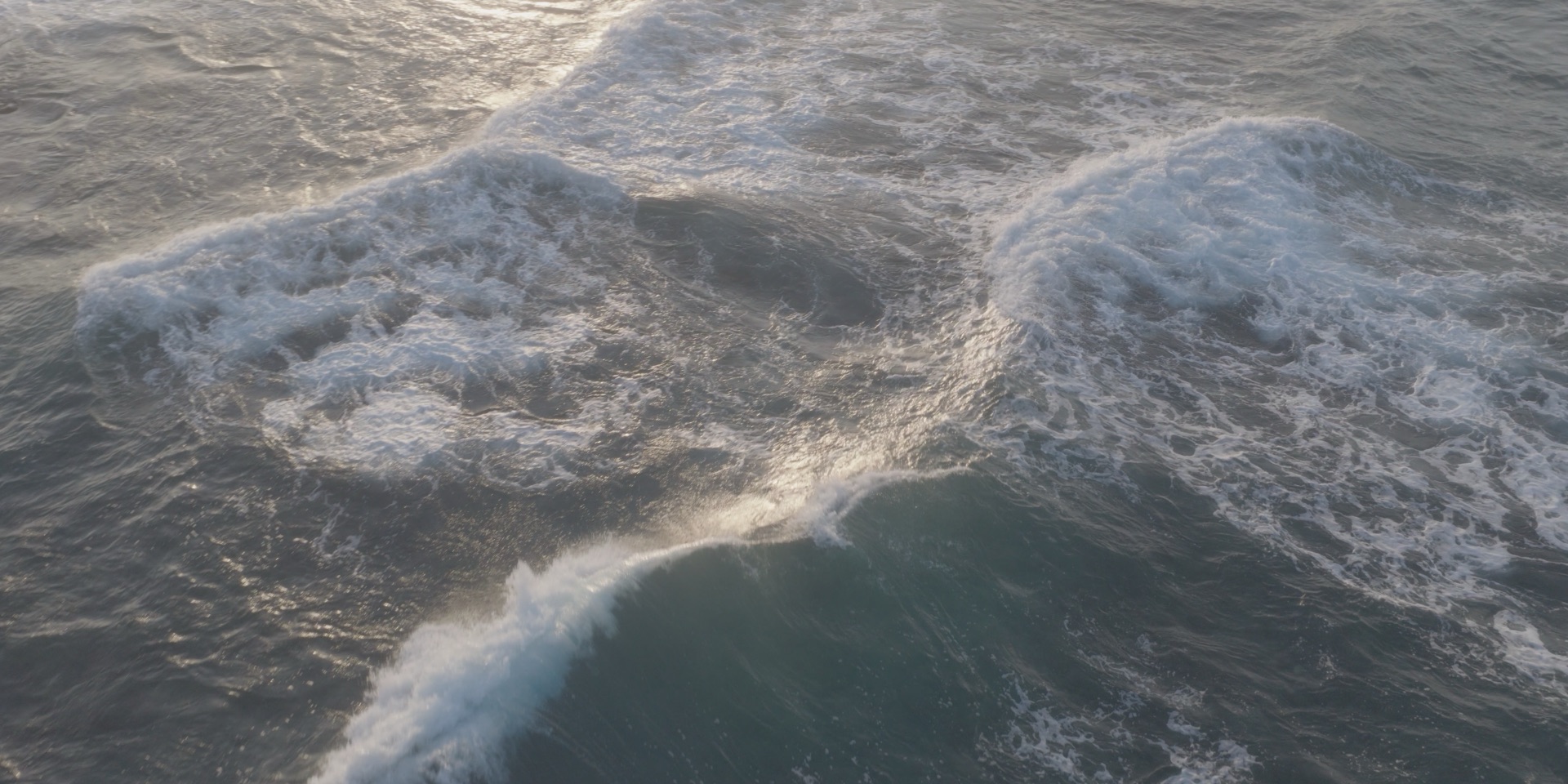 Golden Swell: the same frame before grading (log)