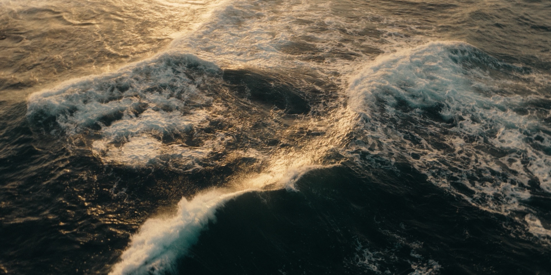 Golden Swell: frame graded with the SPECTRE PowerGrade