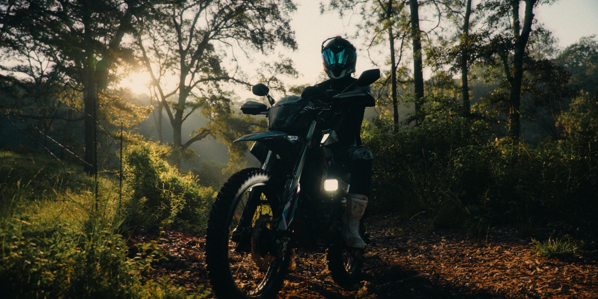 Forest Trail: frame graded with the SPECTRE PowerGrade